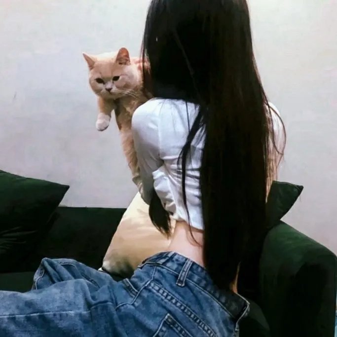 无头家族