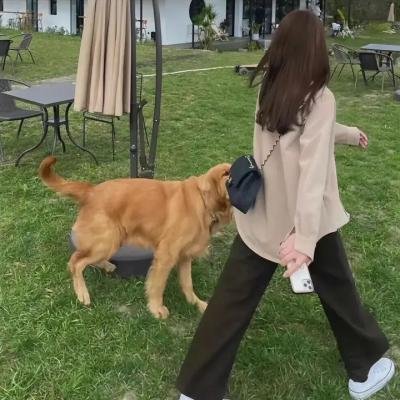 少年与马